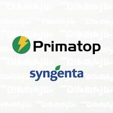 Primatop SC